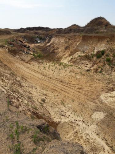 ����� ����