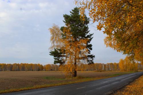 Золотая осень