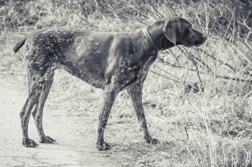 �� �����