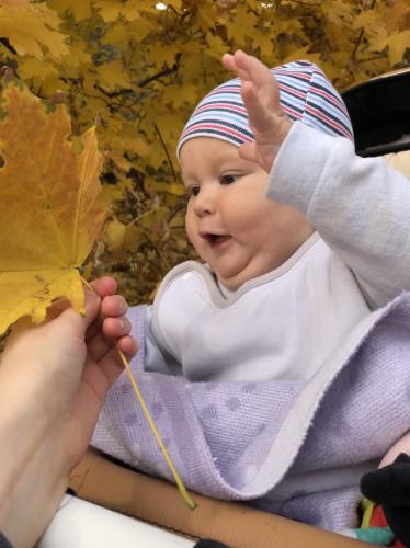 ������ �����