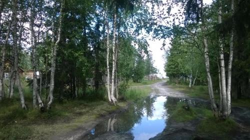 ������ � �������