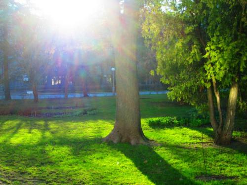 ��������� ���� ������� ���������!