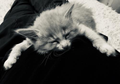 ���������� ������ 