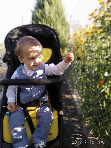 �� ������� ���