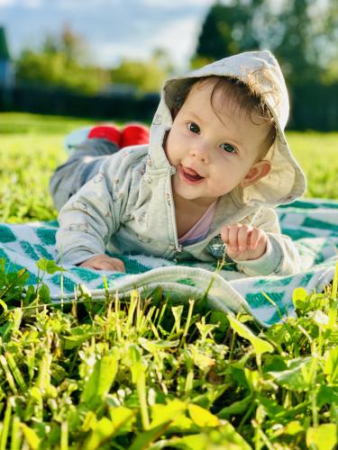 ����������� ������� 