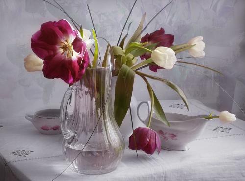 � ����������