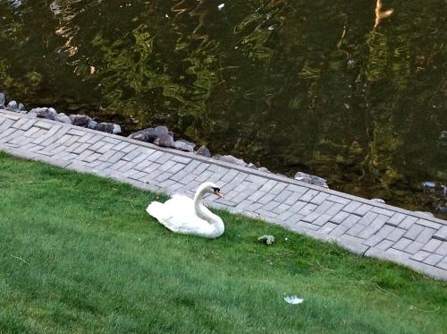 ����� ������ �� �����