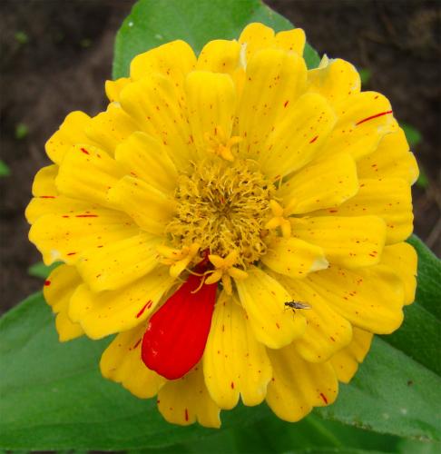 �������