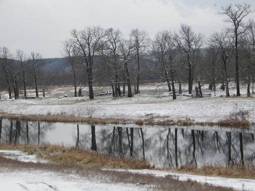 ������ ����