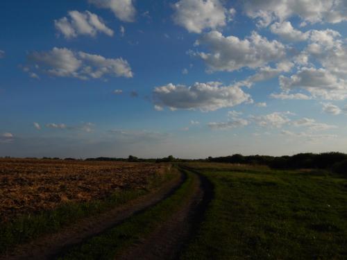 �� ������ � ��������