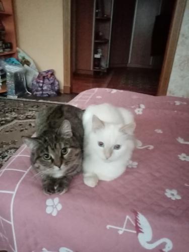 ��� � ���