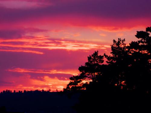 ������� �������