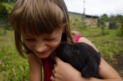 ������� �������