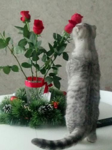 � ��� � �����