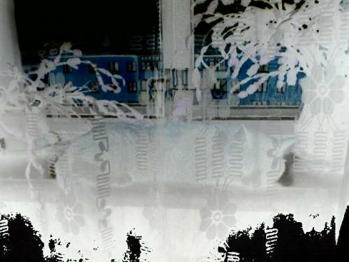 ������ ���