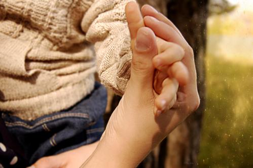 ���� �����