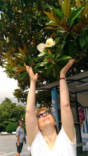 ��������