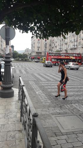 ��� ������ Sakartvelo TBILISI