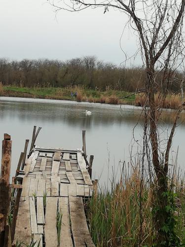 ������������������