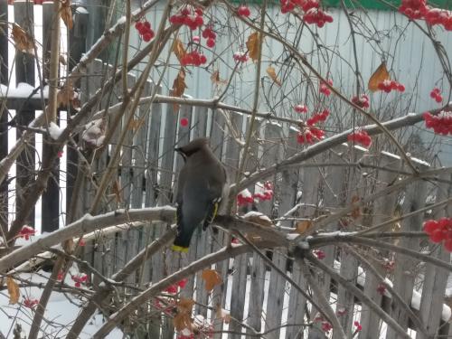 �������� �����