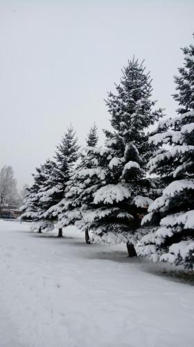 ��� � �����