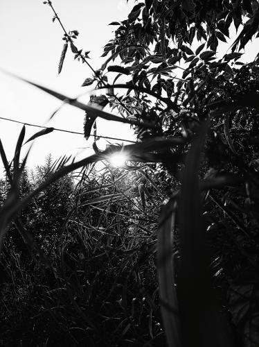 ������ � �������