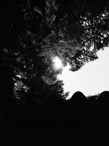 ���� � ���