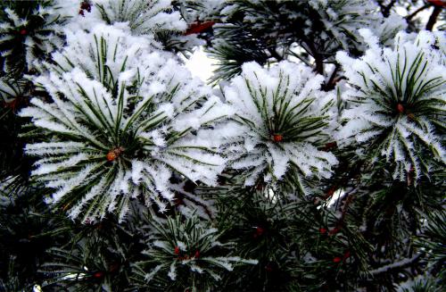 ����� � ����