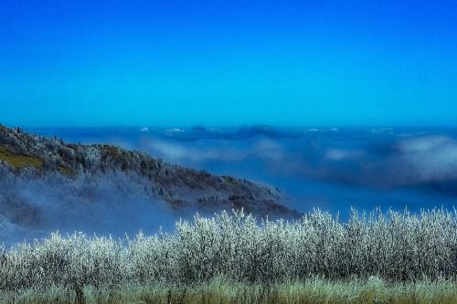 ������ ����� ������