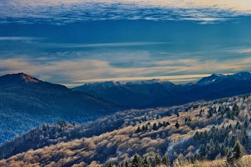 ����� �� �������� �������