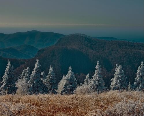 ��� ��� ������� ���� ������