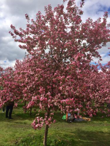 �������� ������