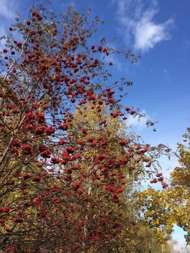 ������� ������