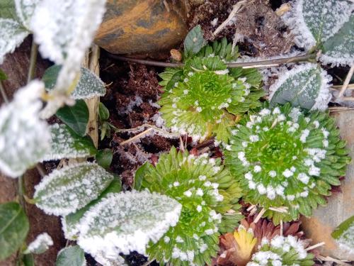 ������� ��  ������ � ������