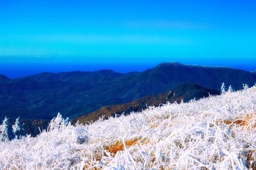 �������� �������� ����