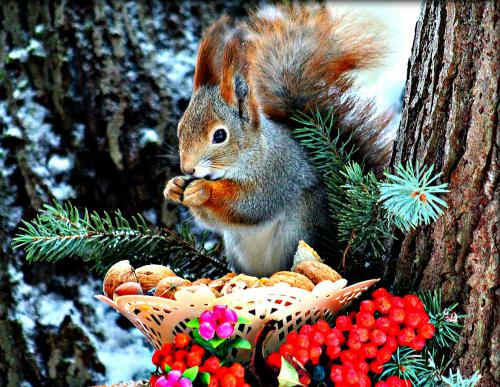 ����� � ���������