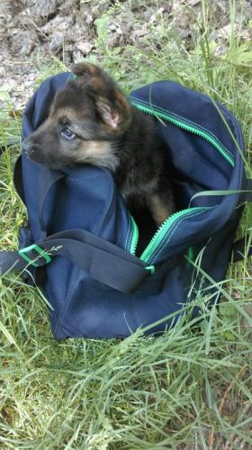 ��� ��� ����� 