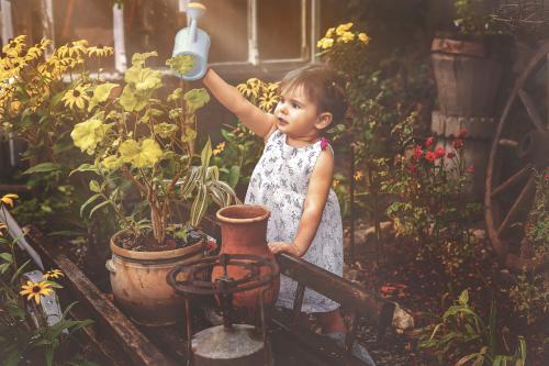 � ������