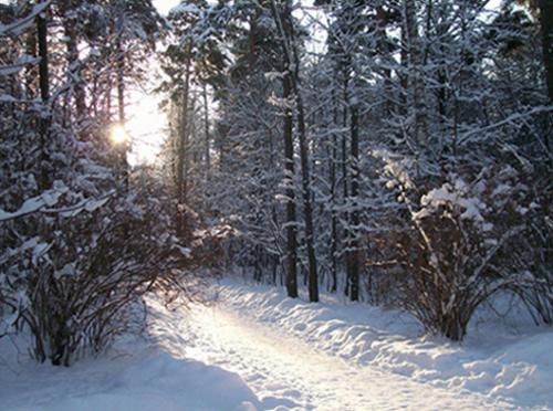 ������ ����