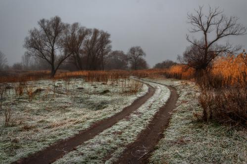 ����� �������� ������