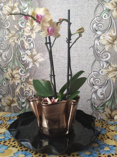 ������� � ������ �� ���������