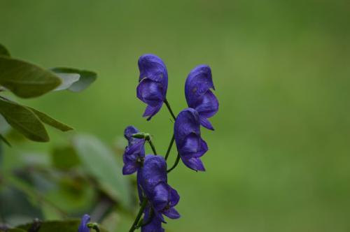 ����������� ������ �� ����� ���������