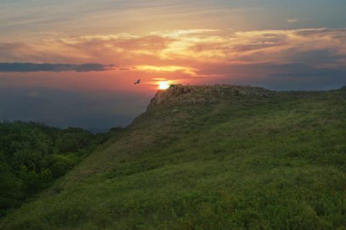 ����� �� �����