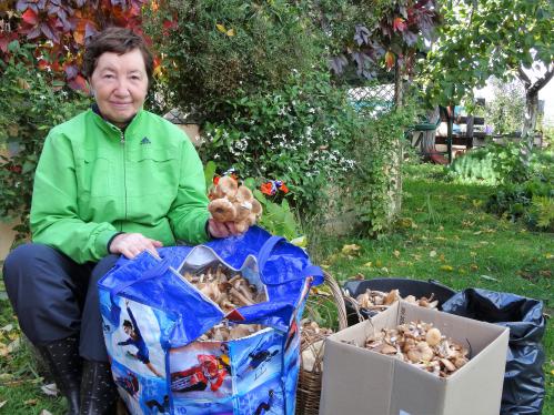 ����� ������� �����