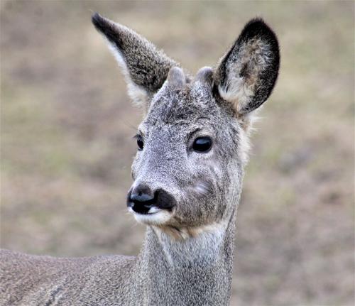 �������� � ���������� �������