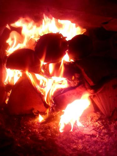 ����� ������ ����������