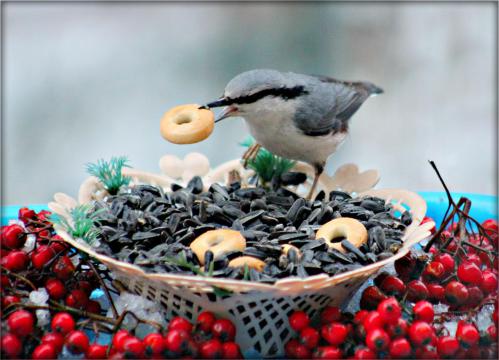  ��������� ����� ��� ��������