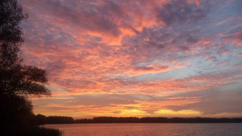 � ����� ������ �� ����� �����