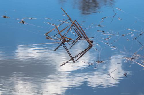 ��������� ���������