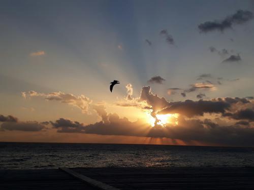 ���� ���� 